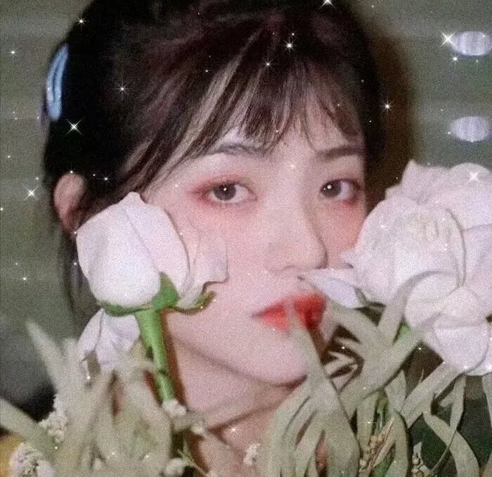 少女佳禾